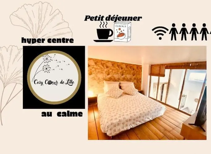 Cosy Coeur De Lille